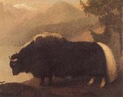 George Stubbs Yak oil on canvas